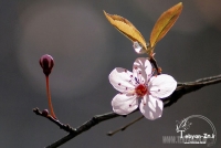 برگزاری بیش از 20 جلسه آموزشی دروس کنکور در مهر و آبان ماه 98